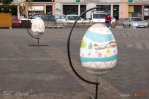 IMG_0515