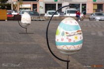 IMG_0518