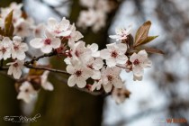 IMG_0538