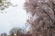 IMG_0547