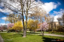 IMG_0568