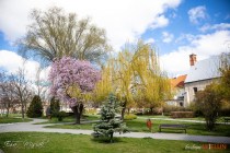 IMG_0571