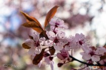 IMG_0578