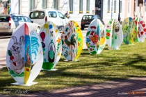 IMG_9572