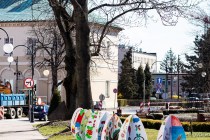 IMG_9600