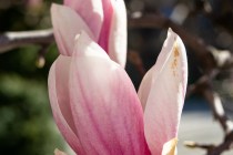 IMG_9609