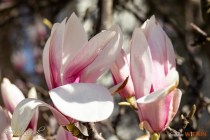 IMG_9613