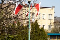 IMG_4565