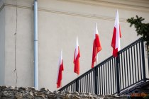 IMG_4567