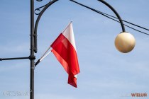 IMG_4595