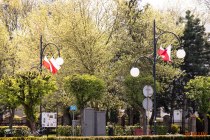IMG_4601