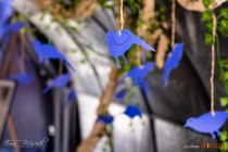 IMG_4739