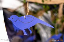 IMG_4741