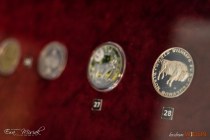 IMG_0396