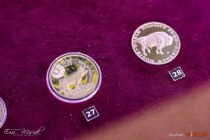 IMG_0402