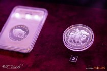IMG_0404