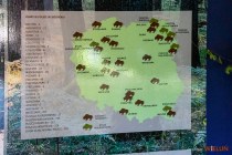 IMG_0428