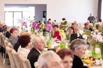 IMG_7006