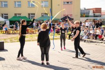 IMG_6540