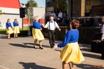 IMG_6882
