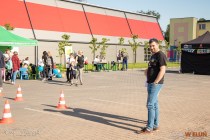 IMG_7101