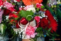 IMG_1583