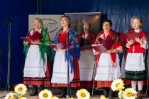 IMG_3882
