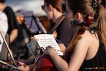 IMG_7907