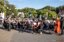 IMG_7982