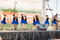 IMG_9519
