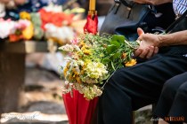 IMG_0541