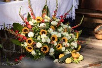 IMG_0634