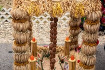 IMG_0786