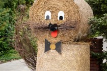 IMG_0819