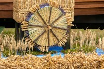IMG_0990