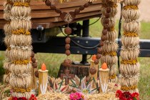 IMG_0991