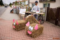 IMG_5268