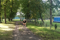 img_20220922_121755