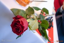 IMG_1104