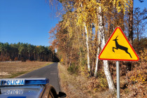266-157159