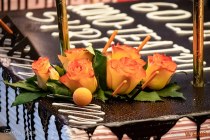 IMG_3985