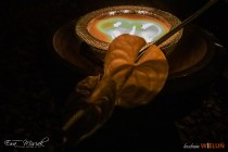 IMG_4414