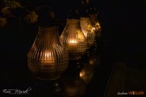 IMG_4415
