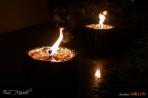 IMG_4424