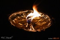 IMG_4425