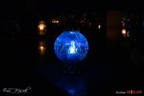 IMG_4426