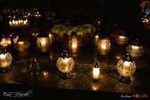 IMG_4430