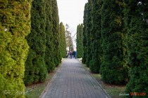 IMG_4434