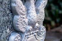 IMG_4478