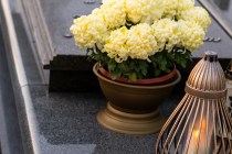 IMG_4500